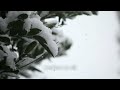 When The Winter's Gone   -   David Benoit feat. Jennifer Warnes / Lyrics