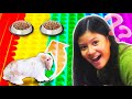 Crazy Rabbit Challenge Gone WRONG!