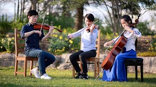 Dove High Over The Storm for 513(Violin &amp; Cello Cover)