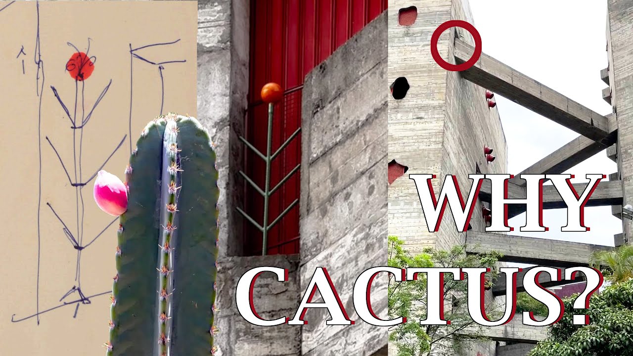 🌵 Why Lina Bo Bardi Put a Cactus in a Brutalist Building | SESC Pompeia Factory Leisure Center