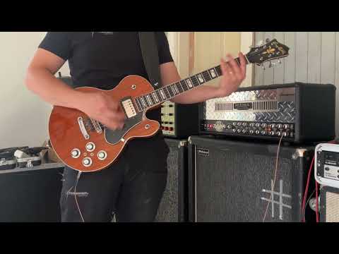 Mesa Dual Rectifier Multi-Watt - Hermansson Amplification