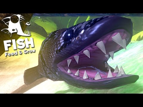 Feed and Grow Fish - COBRA Monstruosa, Peixe Perigoso, Pântano Perigoso! | (#11) (Gameplay/PT-BR)