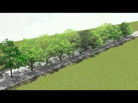 rFactor2 BillboardTrees Test