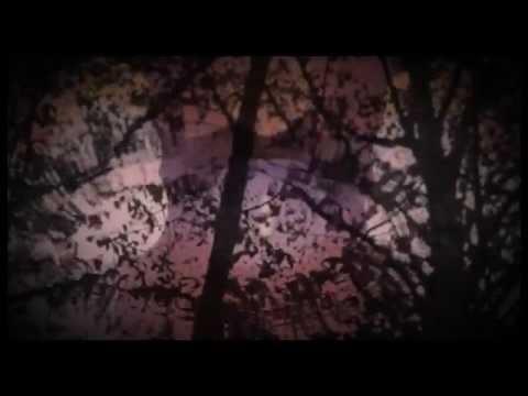 Tree Style - Desire (Official Video)