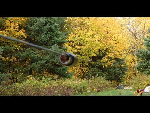 HyEndFed Field Day 80m 10m Antenna   Full Field Test