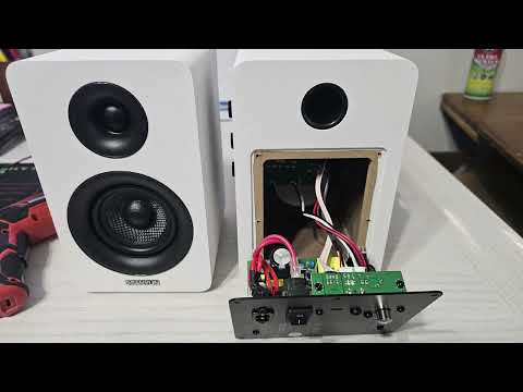 SANYUN SW-208  FAKE TWEETER OR NOT? WE FIND OUT!