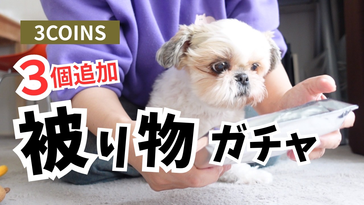 YouTubeサムネイル