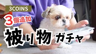 【執念】スリコ被り物ガチャに再挑戦！1人３個の壁を越えて「全種コンプ」を目指した結果ww