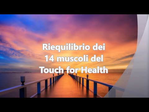Olisticmap - I 14 MUSCOLI DEL TOUCH FOR HEALTH