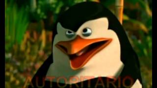 Equipos de trabajo - Conflictos