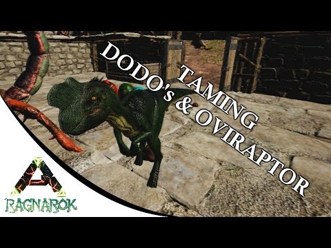 Oviraptor and dodos | Ark: RAGNAROK E14