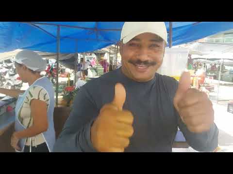 FEIRAS DO MEU NORDESTE HOJE  NA FEIRA DE ALTINHO PE. 