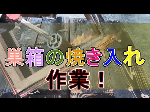 コマドリの巣箱を簡単に作る方法は？知っておくべきことはすべて！  庭園