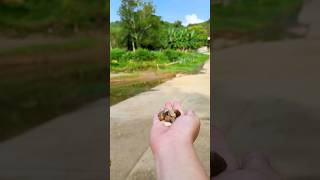 Download lagu Unexpected Food Prank #p5247 mp3