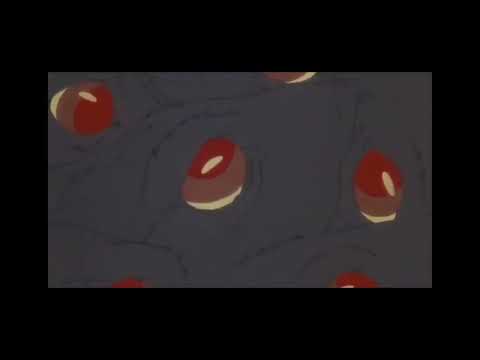 Watership Down Scariest Scene! (Aka How is this movie Rated U!!??)