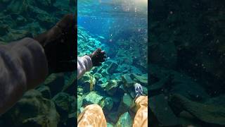 A gap between 2 tectonic plates 😰 #Iceland