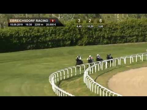 2019.09.15 Austrian Derby - Silver Seam
