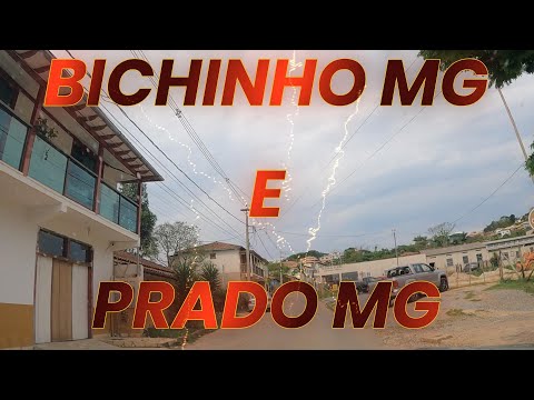 Bichinho MG e Prados MG 00167