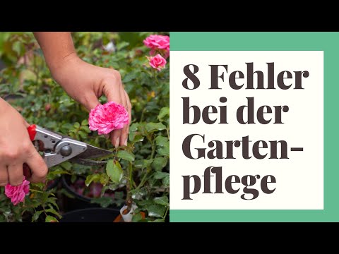 , title : '8 Fehler bei der Gartenpflege im Hochsommer und wie Sie diese vermeiden'