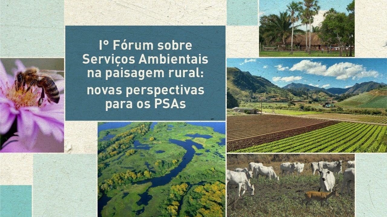 1º dia do I Fórum sobre Serviços Ambientais na paisagem rural: novas perspectivas para os PSAs