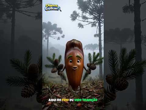 Comidas típicas do Paraná