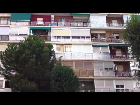 Jmj vigilia cuatro vientos