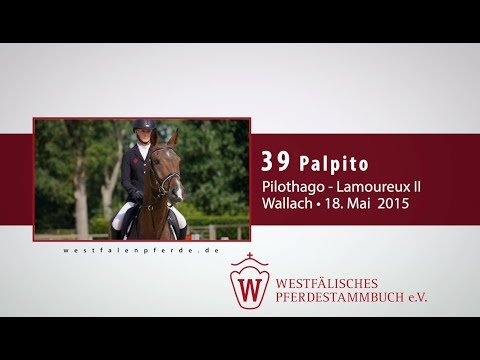 39 Palpito  Wallach v. Pilothago - Lamoureux II