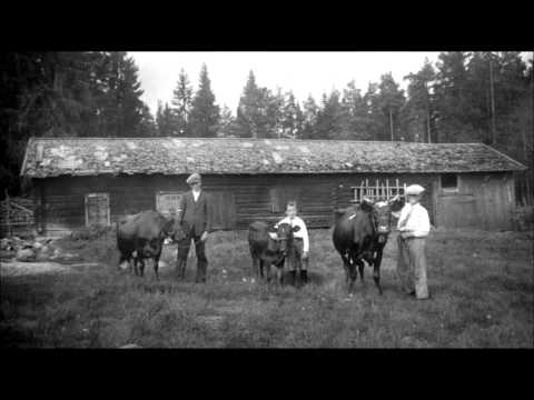 Svensk folkmusik - Låt Till Far