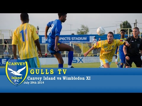 Canvey Island 2-1 AFC Wimbledon XI - 29 July 2014