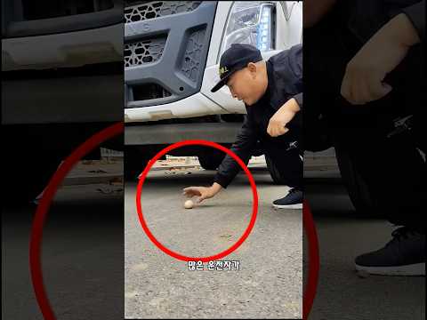 일본의 나이 많은 트럭 운전사
