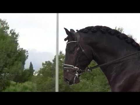 DOBLON - Tr y Sus HIJOS (YEGUADA SUSAETA)