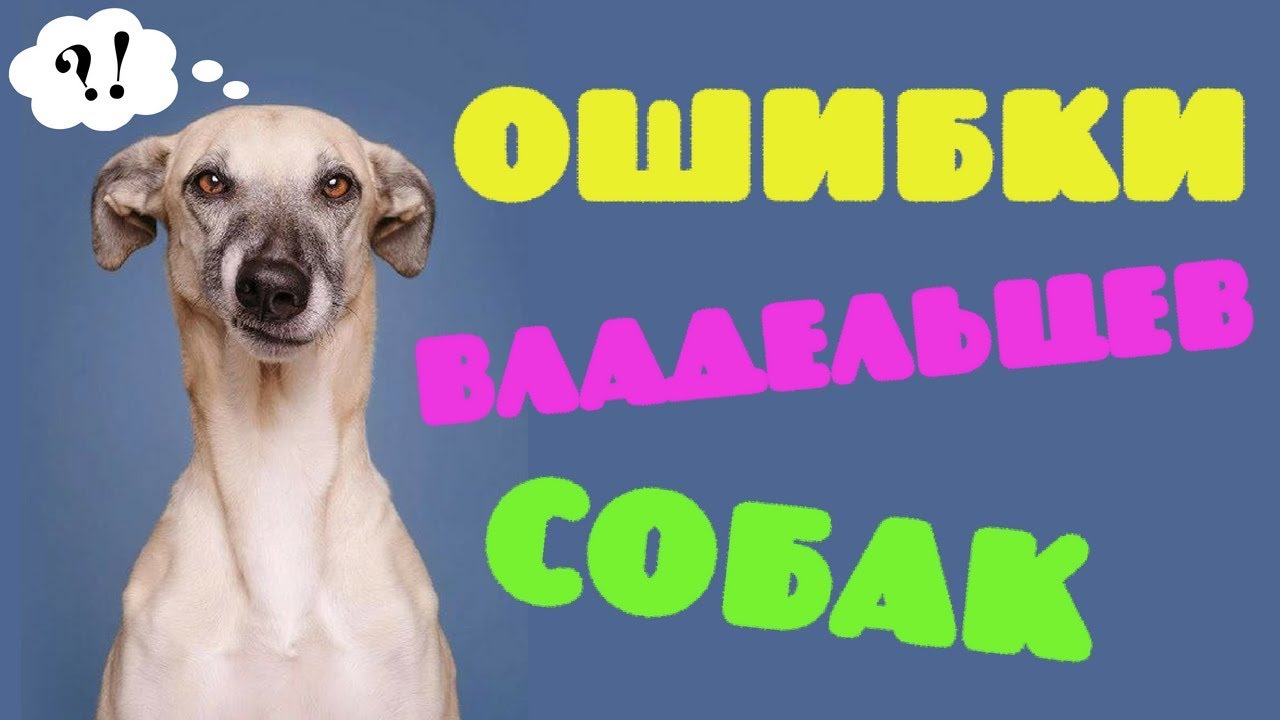 YouTube video preview