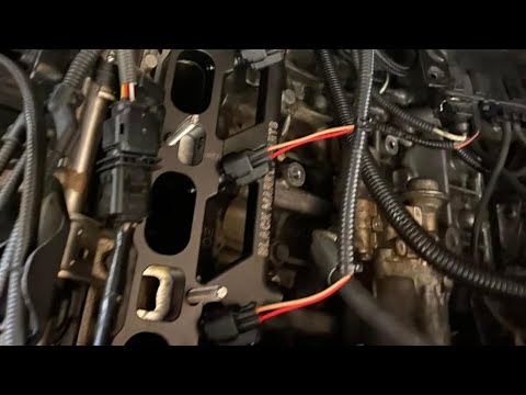 Building the 335’s!!