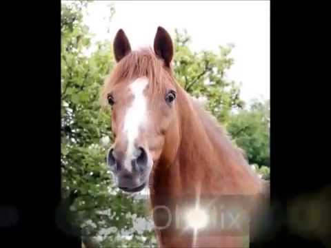 Talina Lorei - Unser Zuhause