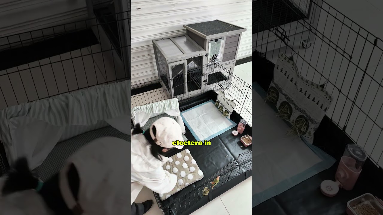 Every bunny NEED it!