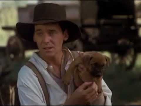 Věrný Pes Jock   CZ 1992