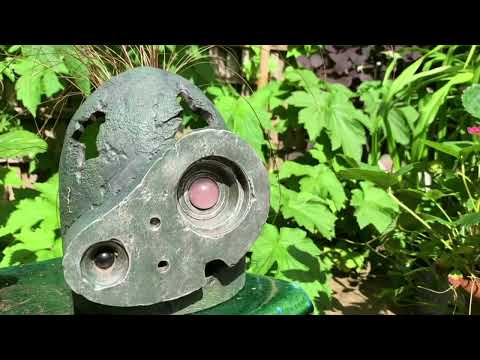 Gardeners World 2020 S53E25