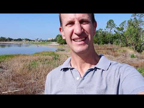 Herbicide spraying around lakes and ponds: Ugly and bad