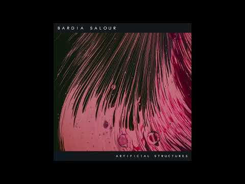 Bardia Salour  - Artificial Structures (Convex Version)
