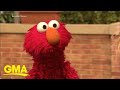 Elmo S Feud With A Pet Rock Goes Viral L GMA