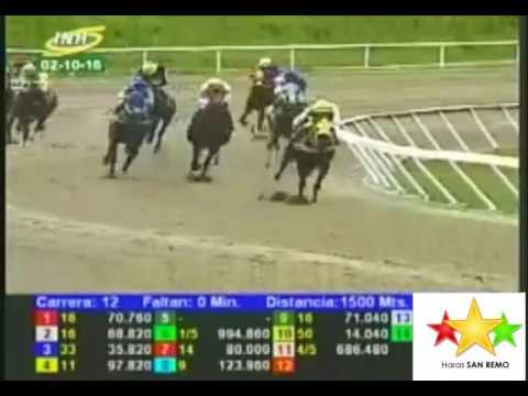 LA RINCONADA 12 CARRERA, DOMINGO 02 DE OCTUBRE DEL 2016