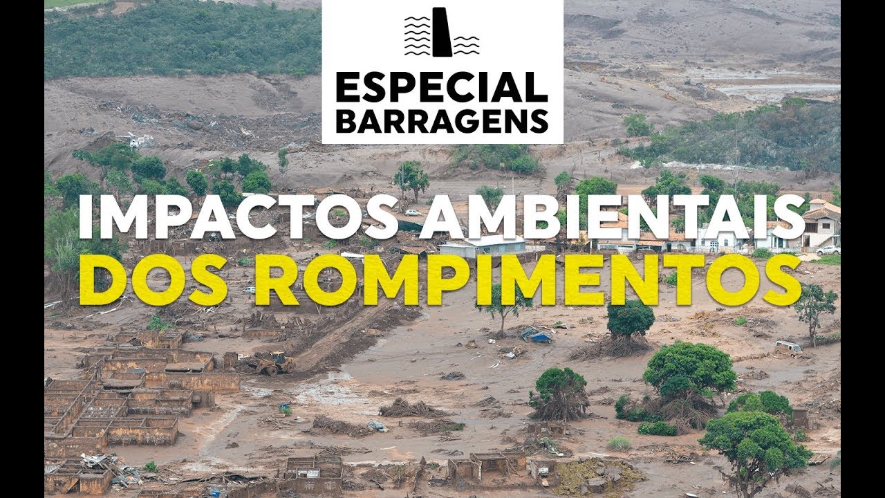 Impactos ambientais dos ROMPIMENTOS - Especial Barragens | Terra Negra Online