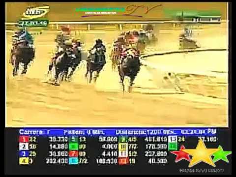 LA RINCONADA 7 CARRERA, DOMINGO 27 DE MARZO DEL 2016