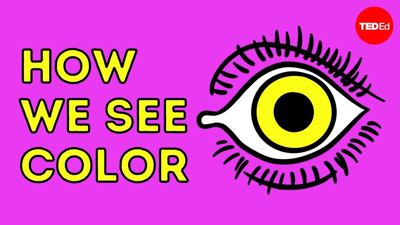 How we see color - Colm Kelleher