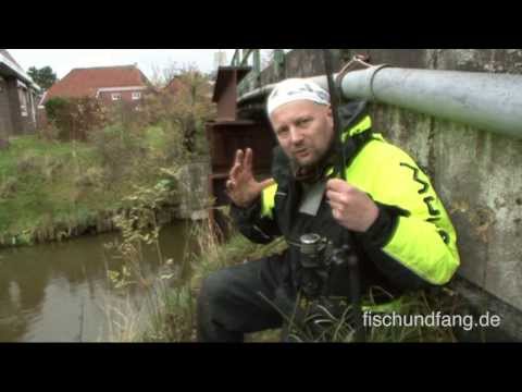Matze Koch: Pike on Bridges - Matze's Antics 11-2013