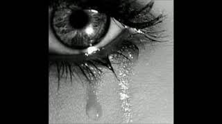 TE REGALO MI TRISTEZA TEMERARIOS