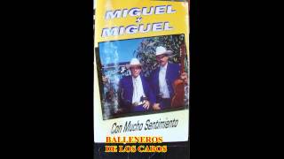 LOS MIGUELES QUE TENDRE YO