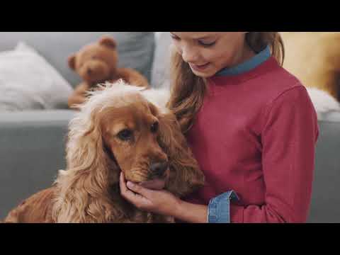 Очиститель воздуха Philips AC2887/10