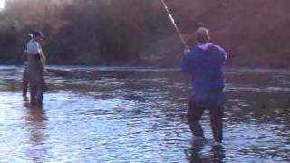 preview picture of video 'Mike's First Steelhead January 21, 2011 3:14 PM'