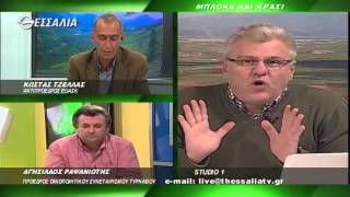 ΘΕΣΣΑΛΩΝ ΓΗ ΜΠΛΟΚΑ ΚΑΙ ΚΡΑΣΙ 11 01 2016